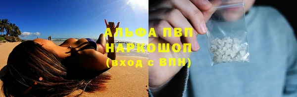 мяу мяу мука Абаза