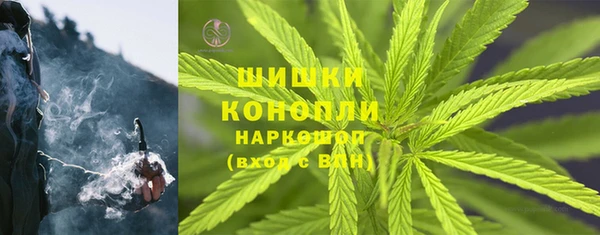 твердый Рославль
