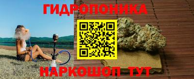 ПСИЛОЦИБИНОВЫЕ ГРИБЫ Сланцы
