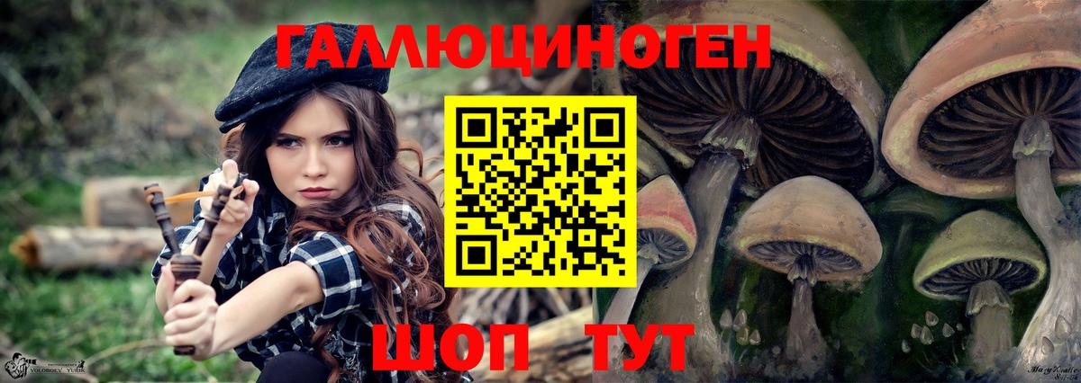 Галлюциногенные грибы MAGIC MUSHROOMS  Вход с VPN  Рославль 